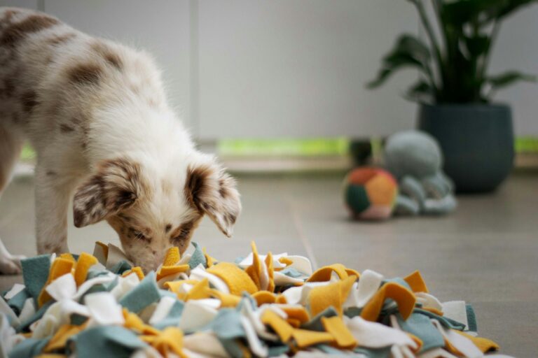 Dog enrichment toys snuffle mat