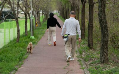 Recall games that make your dog love coming when called