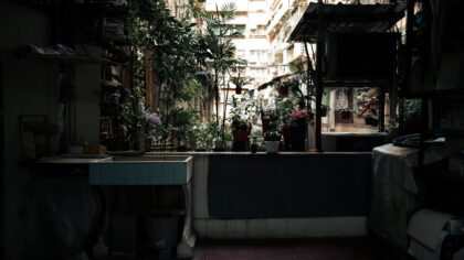 Small space, happy dog: creative balcony ideas for urban pups
