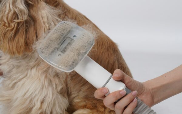 Smart shedding care for dogs at home: tools, cleaning tips and coat support