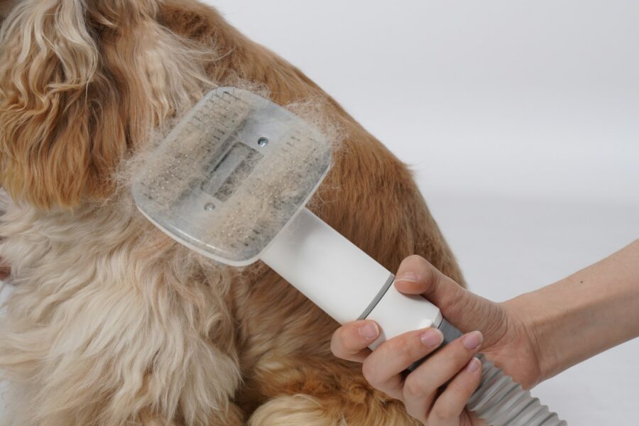 Dog grooming brush loose fur sofa