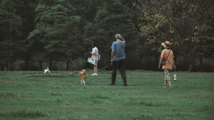 Socializing your puppy with confidence in the first three months