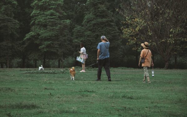 Socializing your puppy with confidence in the first three months