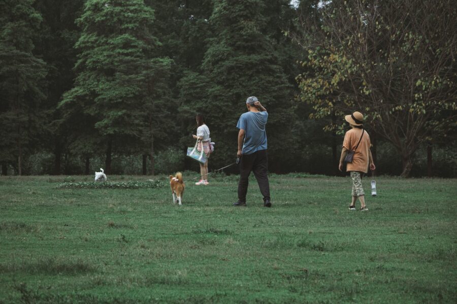 Puppy meeting people outdoors park