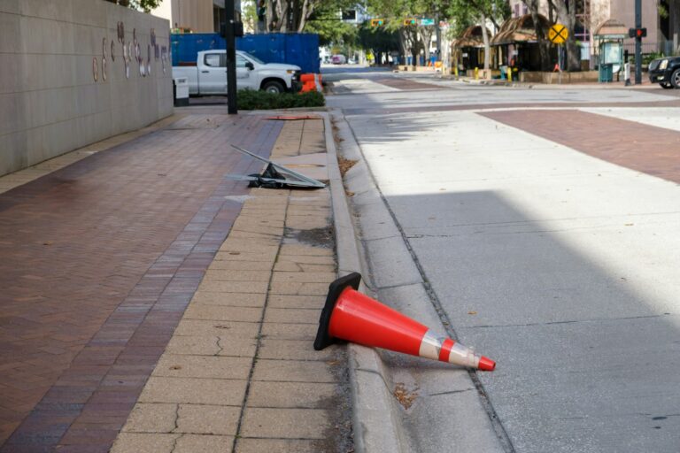 Puppy watching traffic sidewalk