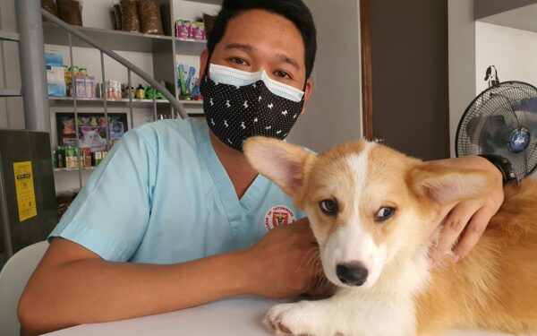 What dog bad breath can reveal about health and how to keep it under control