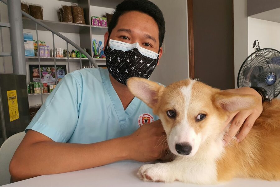 Dog dental checkup vet clinic