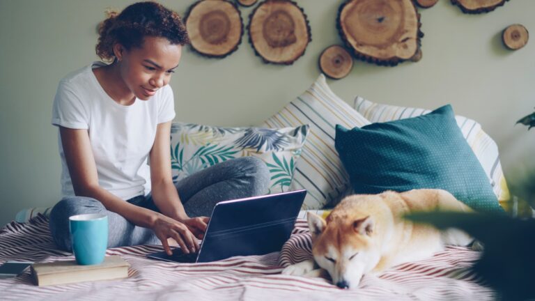 Person working laptop dog bed