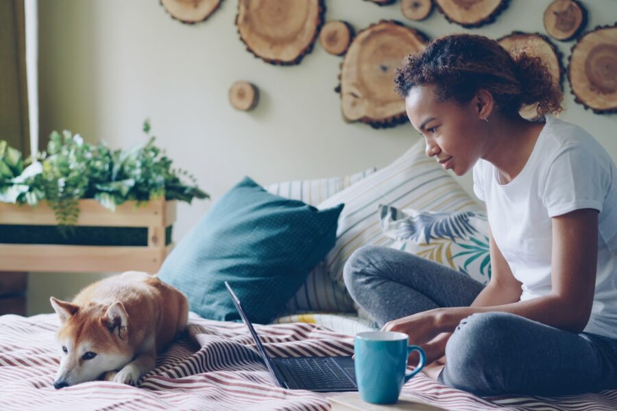 Home office dog laptop coffee