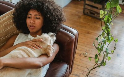 Apartment dog care basics for healthy, happy life in a smaller home