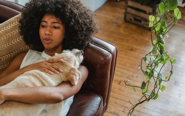 Apartment dog care basics for healthy, happy life in a smaller home