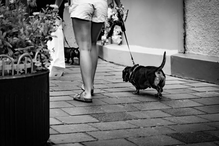 Woman walking dog