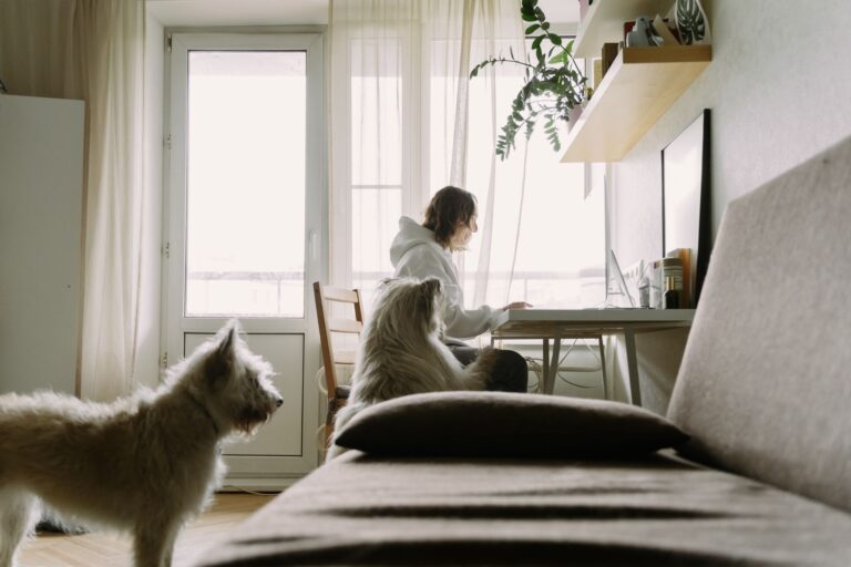 Dog owner working