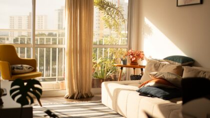 Balanced days with dogs: simple ways to match your routine to your dog’s natural rhythm