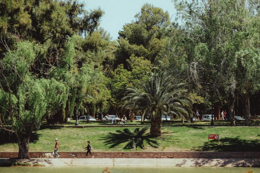 Dog walking park