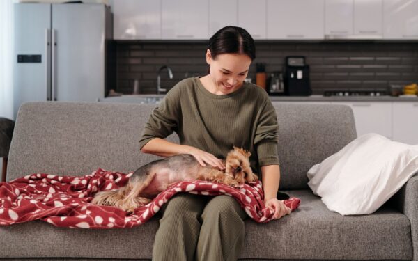 Bringing home a small-breed pup: realistic care, training and lifestyle tips