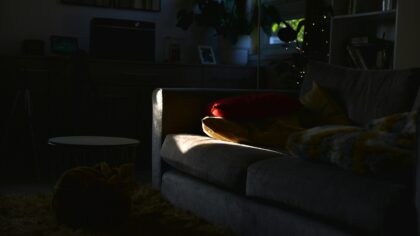 Building a daily routine for your dog that actually works at home