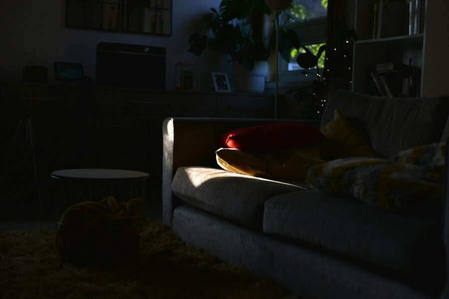 Dog daily routine living room dog bed evening