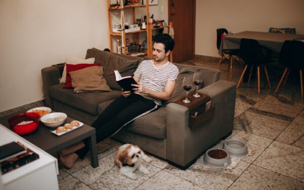 Calm and healthy: building a simple wellness routine for your dog