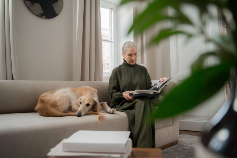 Greyhound lying couch senior woman walking small dog