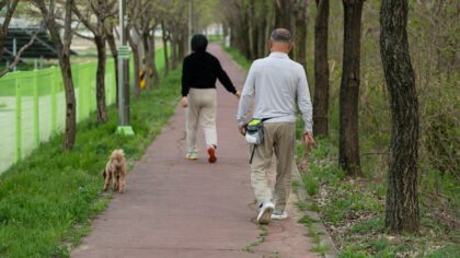 Calm, confident walks: leash training basics for young dogs and their humans