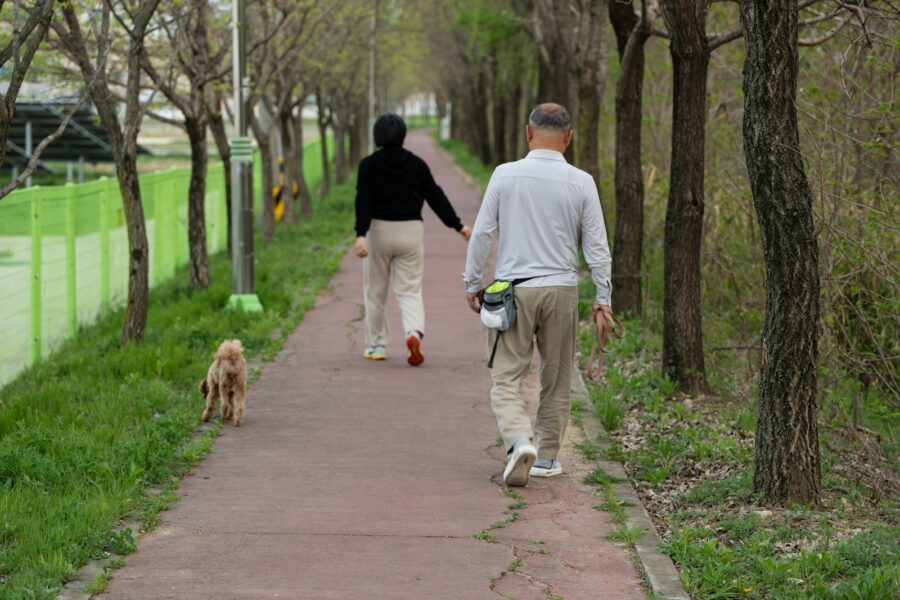 Young dog walking