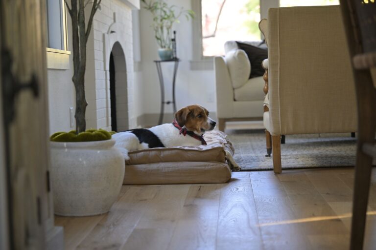 Dog resting mat