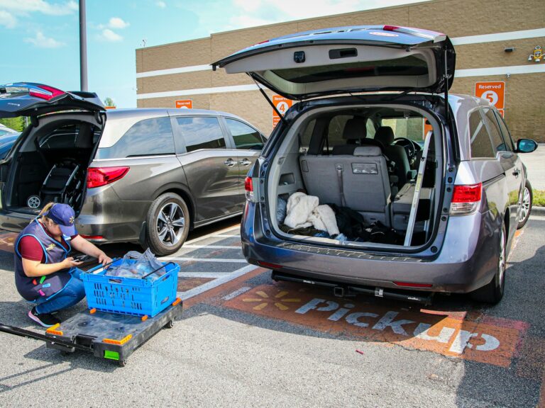 Dog travel crate