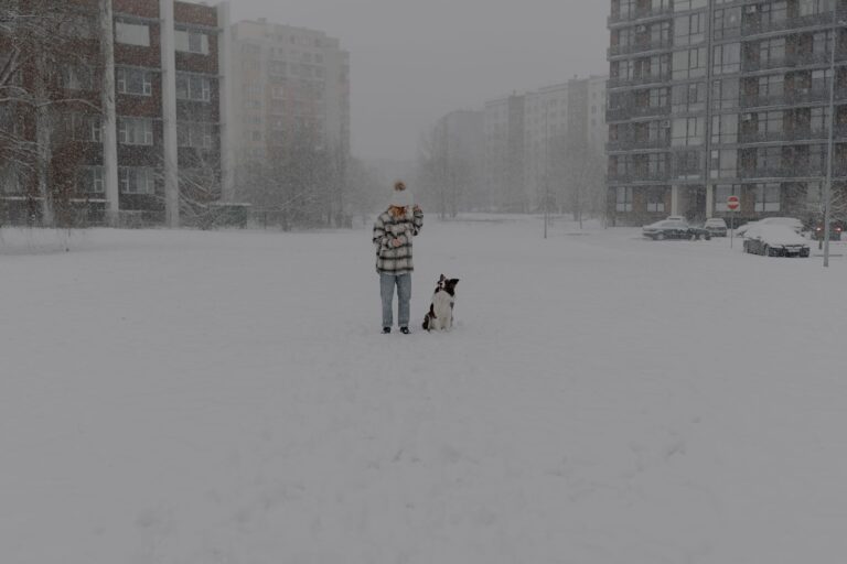 Dog winter coat