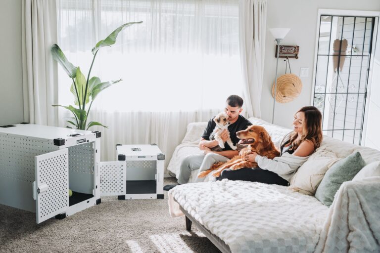 Dog crate relaxed