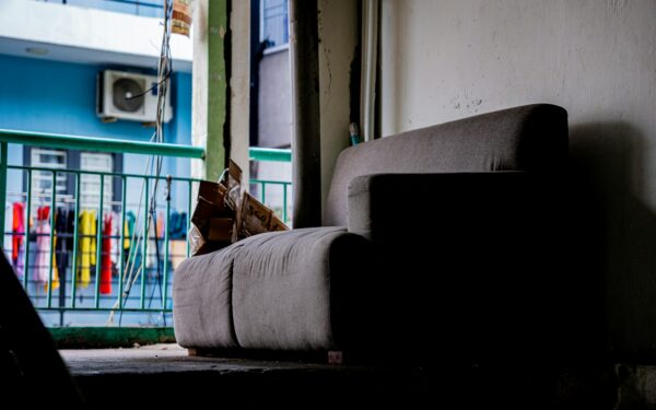 Creating a calm evening wind-down with your dog at home