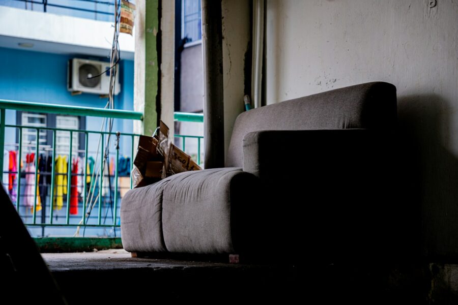 Calm dog resting