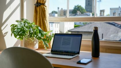 Creating a dog-friendly home office that keeps your dog happy and you productive