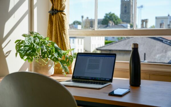Creating a dog-friendly home office that keeps your dog happy and you productive