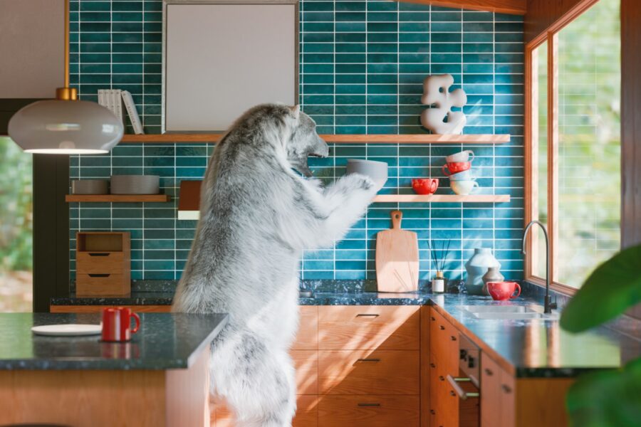 Dog owner morning routine kitchen sunlight