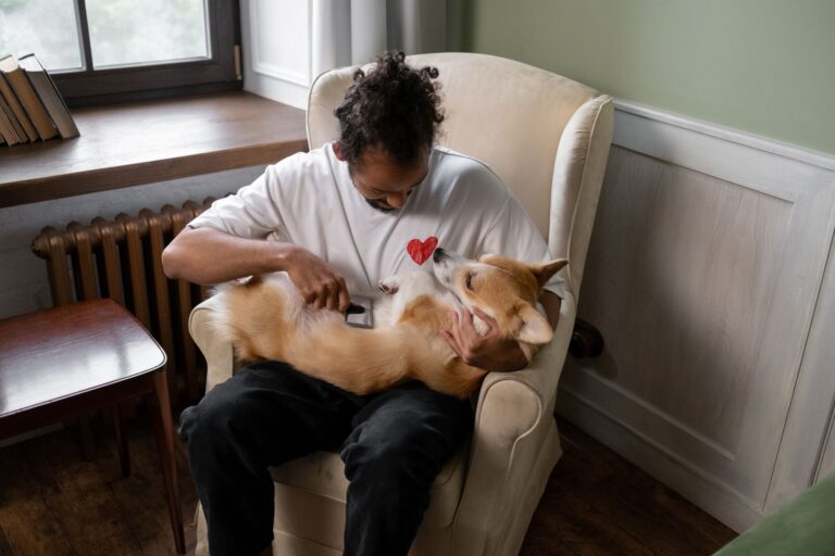 Dog owner brushing