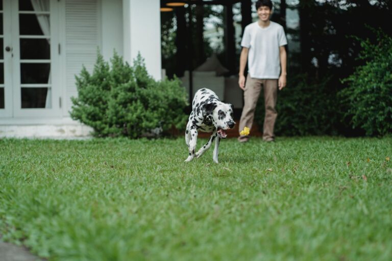 Dog owner cleaning
