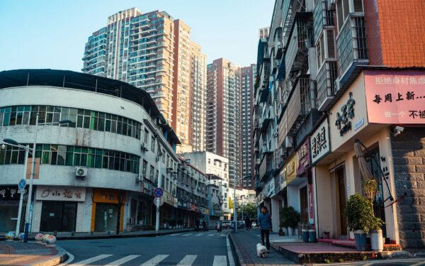 Dog-friendly city days: how to plan an easygoing urban adventure with your dog