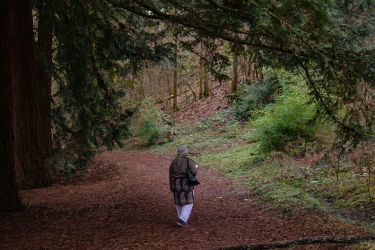 Dog owner walking