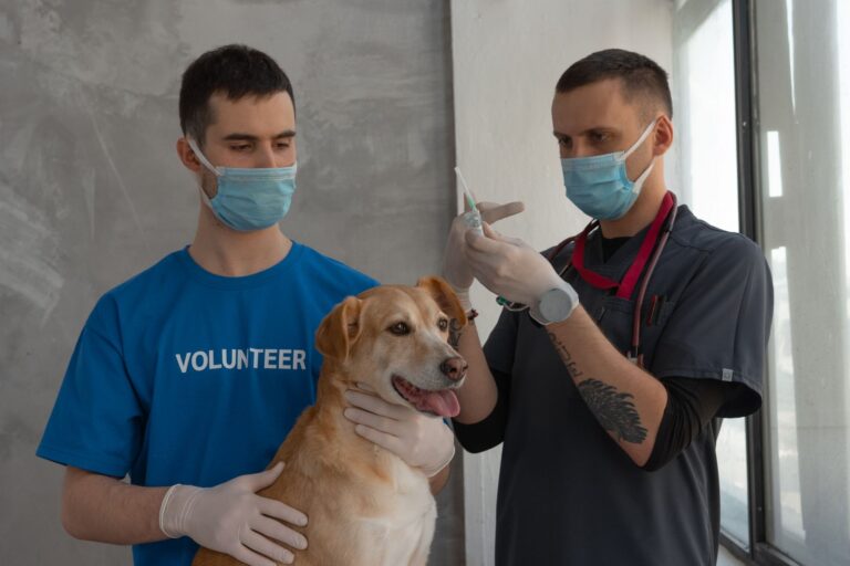Dog vet clinic