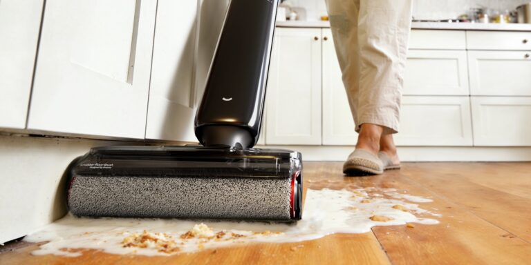Dog vomiting cleanup