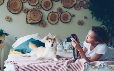 Everyday dog photo ideas that turn ordinary moments into memories