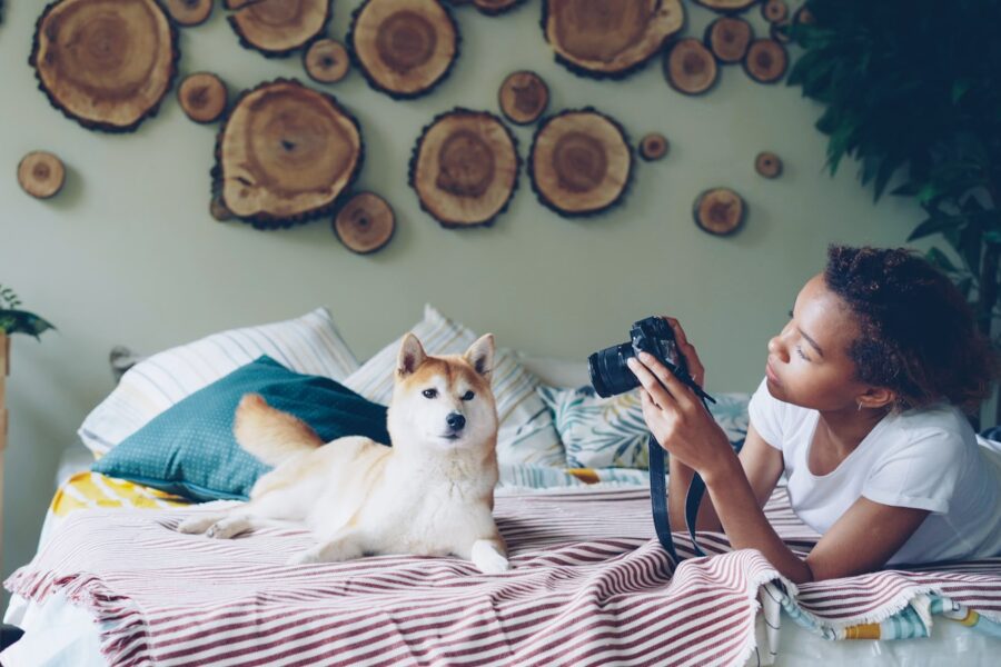 Dog owner taking