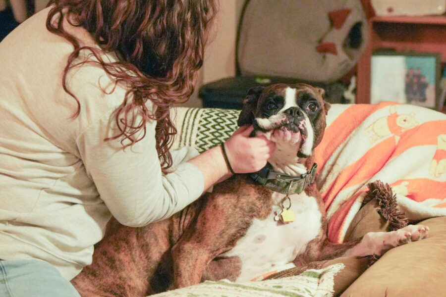 Dog owner checking