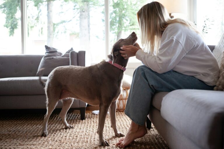 Owner bonding rescue