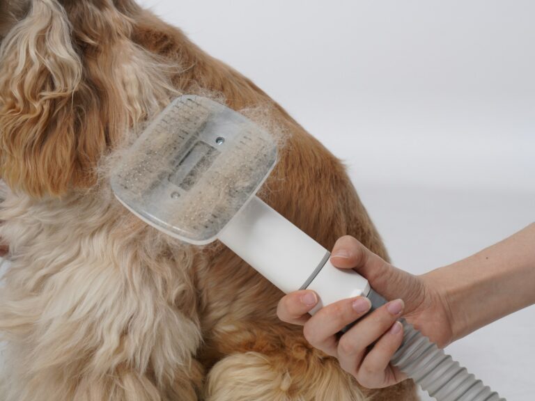 Happy dog grooming brush sofa
