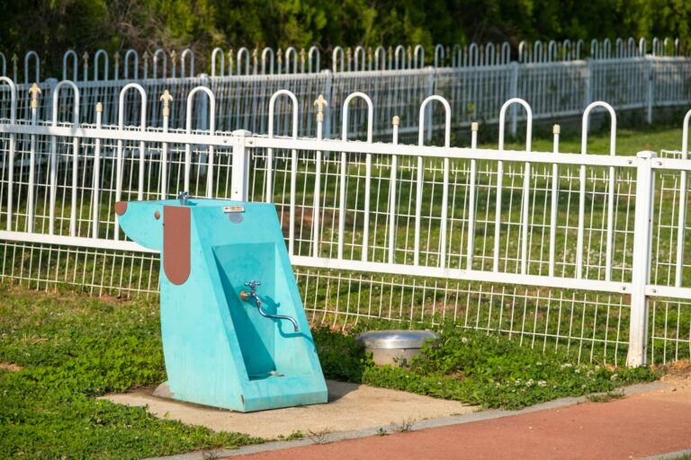Dog panting park