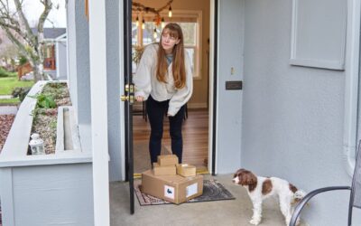 Helping your dog handle visitors calmly without jumping or chaos