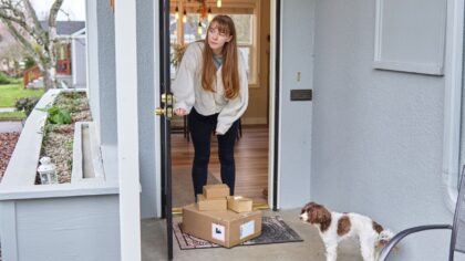 Helping your dog handle visitors calmly without jumping or chaos
