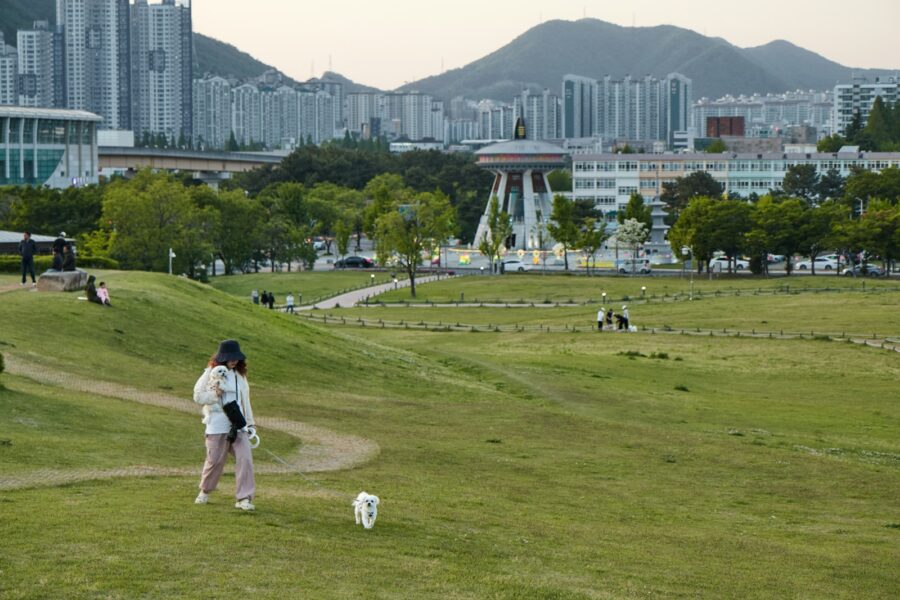 Dog walking park